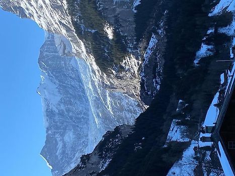 view from our room on glacier